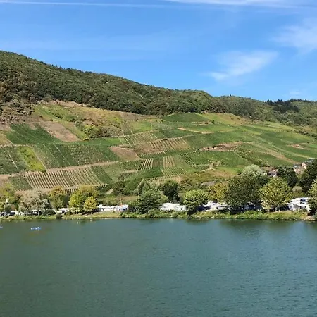Am Weinberg * Senheim
