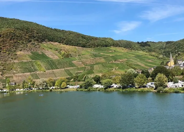 Am Weinberg * 森海姆